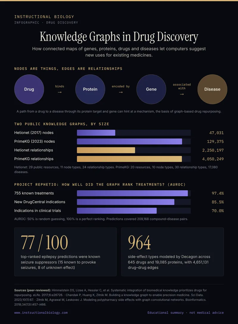 Infographic: how a biomedical knowledge graph links drugs, proteins, genes and diseases, the size of Hetionet and PrimeKG, and Project Rephetio drug repurposing results