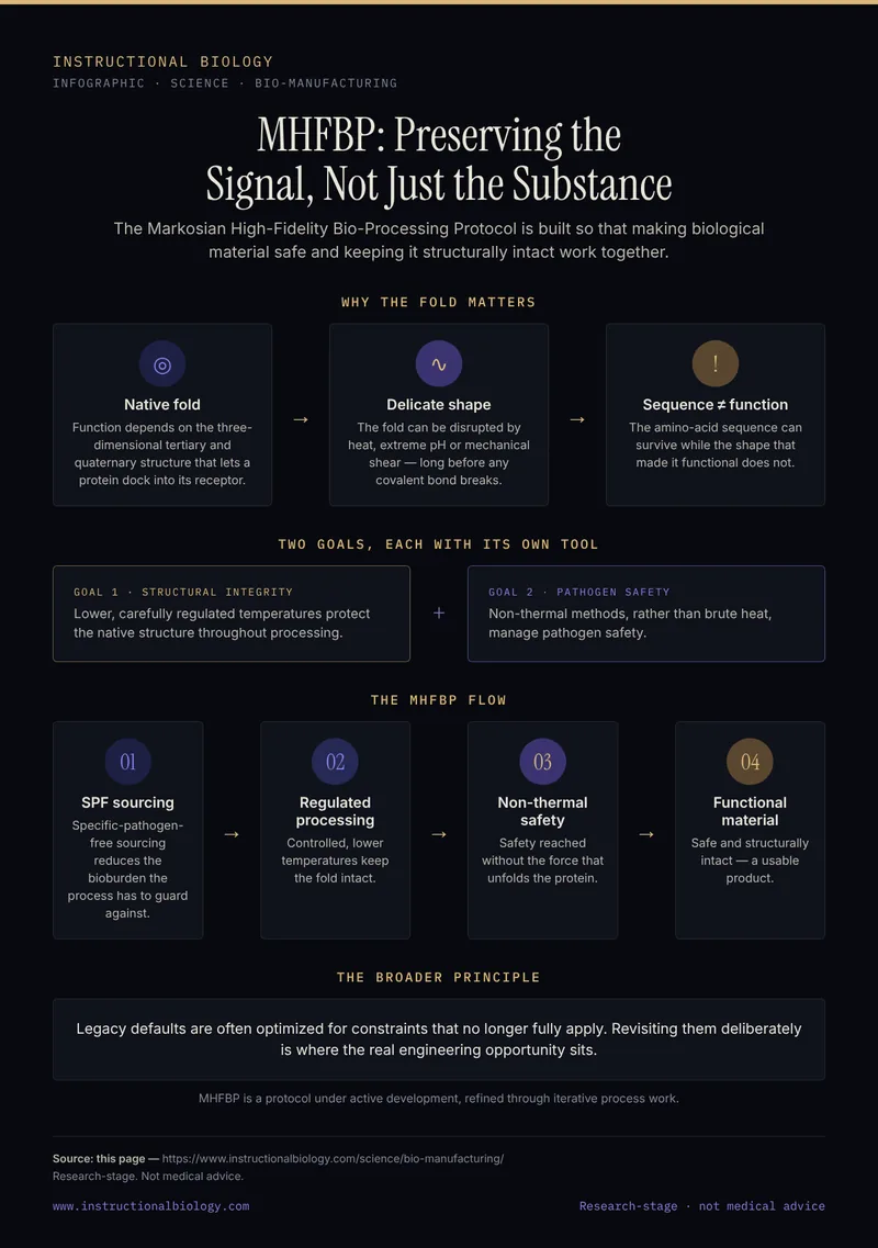 Infographic: how the MHFBP bio-manufacturing protocol separates pathogen safety from structural preservation — specific-pathogen-free sourcing, carefully regulated processing and non-thermal safety methods to keep a protein's native fold intact