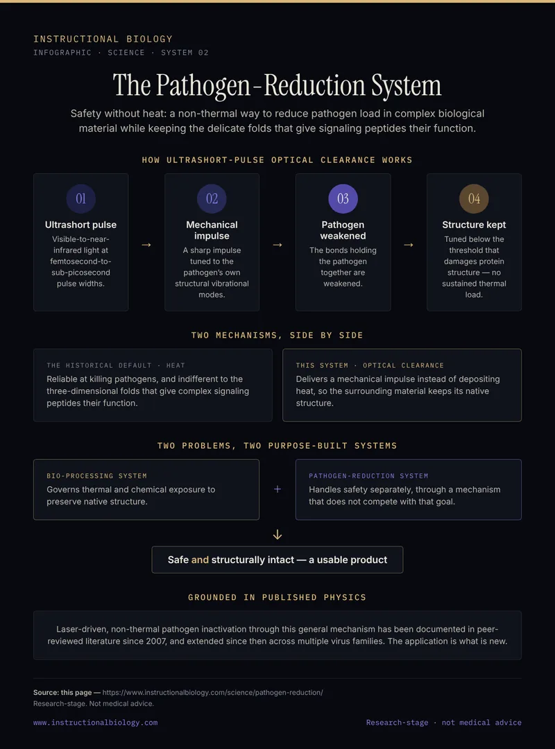 Infographic: how the non-thermal pathogen-reduction system works — ultrashort-pulse optical clearance delivers a mechanical impulse tuned to a pathogen's vibrational modes while protecting protein structure