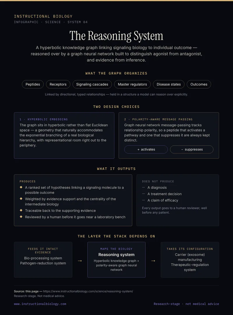 Infographic: the reasoning system — a hyperbolic knowledge graph of peptides, receptors, signaling cascades, master regulators, disease states and outcomes, reasoned over by a polarity-aware graph neural network to rank evidence-traceable hypotheses